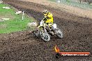 Champions Ride Day MotorX Broadford 31 05 2014 - CR9_4557