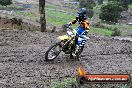 Champions Ride Day MotorX Broadford 15 06 2014 - SH1_1299