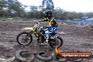 Champions Ride Day MotorX Broadford 15 06 2014 - SH1_1329