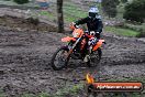 Champions Ride Day MotorX Broadford 15 06 2014 - SH1_1332