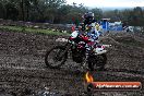 Champions Ride Day MotorX Broadford 15 06 2014 - SH1_1386