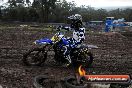 Champions Ride Day MotorX Broadford 15 06 2014 - SH1_1444