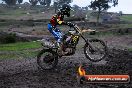 Champions Ride Day MotorX Broadford 15 06 2014 - SH1_1587