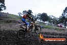 Champions Ride Day MotorX Broadford 15 06 2014 - SH1_1589