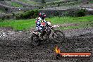 Champions Ride Day MotorX Broadford 15 06 2014 - SH1_1649