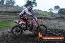 Champions Ride Day MotorX Broadford 15 06 2014 - SH1_1678