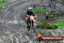 Champions Ride Day MotorX Broadford 15 06 2014 - SH1_1691
