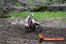 Champions Ride Day MotorX Broadford 15 06 2014 - SH1_1722