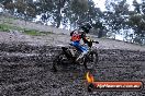 Champions Ride Day MotorX Broadford 15 06 2014 - SH1_1766