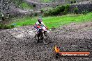 Champions Ride Day MotorX Broadford 15 06 2014 - SH1_1771