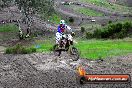 Champions Ride Day MotorX Broadford 15 06 2014 - SH1_1781