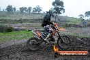 Champions Ride Day MotorX Broadford 15 06 2014 - SH1_1821