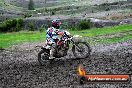 Champions Ride Day MotorX Broadford 15 06 2014 - SH1_1826