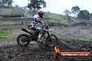 Champions Ride Day MotorX Broadford 15 06 2014 - SH1_1830