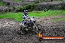 Champions Ride Day MotorX Broadford 15 06 2014 - SH1_1888