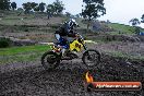 Champions Ride Day MotorX Broadford 15 06 2014 - SH1_1925