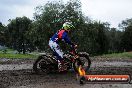 Champions Ride Day MotorX Broadford 15 06 2014 - SH1_1976
