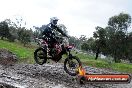 Champions Ride Day MotorX Broadford 15 06 2014 - SH1_2001