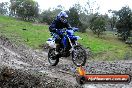 Champions Ride Day MotorX Broadford 15 06 2014 - SH1_2017