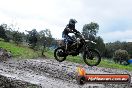 Champions Ride Day MotorX Broadford 15 06 2014 - SH1_2030