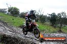 Champions Ride Day MotorX Broadford 15 06 2014 - SH1_2063