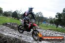Champions Ride Day MotorX Broadford 15 06 2014 - SH1_2064