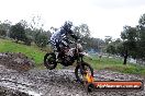 Champions Ride Day MotorX Broadford 15 06 2014 - SH1_2138