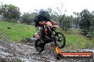 Champions Ride Day MotorX Broadford 15 06 2014 - SH1_2144