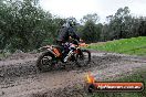 Champions Ride Day MotorX Broadford 15 06 2014 - SH1_2150