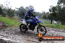 Champions Ride Day MotorX Broadford 15 06 2014 - SH1_2165