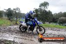 Champions Ride Day MotorX Broadford 15 06 2014 - SH1_2166