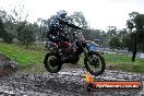 Champions Ride Day MotorX Broadford 15 06 2014 - SH1_2182