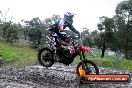 Champions Ride Day MotorX Broadford 15 06 2014 - SH1_2190