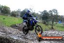 Champions Ride Day MotorX Broadford 15 06 2014 - SH1_2202