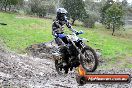 Champions Ride Day MotorX Broadford 15 06 2014 - SH1_2240
