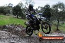 Champions Ride Day MotorX Broadford 15 06 2014 - SH1_2241