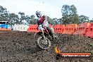 Champions Ride Day MotorX Broadford 26 07 2014 - SH2_2061