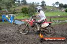 Champions Ride Day MotorX Broadford 26 07 2014 - SH2_2065