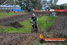 Champions Ride Day MotorX Broadford 26 07 2014 - SH2_2224