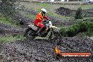 Champions Ride Day MotorX Broadford 26 07 2014 - SH2_2482