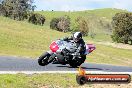 Champions Ride Day Broadford 2 of 2 parts 23 08 2014 - SH3_9087