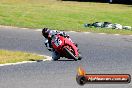Champions Ride Day Broadford 1 of 2 parts 05 09 2014 - SH4_2306