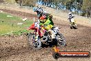 Champions Ride Day MotorX Broadford 07 09 2014 - SH4_7022