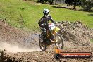 Champions Ride Day MotorX Broadford 07 09 2014 - SH4_7900
