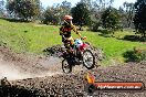 Champions Ride Day MotorX Broadford 07 09 2014 - SH4_7908