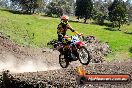 Champions Ride Day MotorX Broadford 07 09 2014 - SH4_7933