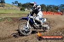 Champions Ride Day MotorX Broadford 07 09 2014 - SH4_8014