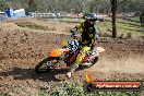 Champions Ride Day MotorX Broadford 05 10 2014 - SH5_6070
