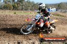 Champions Ride Day MotorX Broadford 05 10 2014 - SH5_6080
