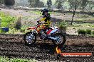 Champions Ride Day MotorX Broadford 05 10 2014 - SH5_6120